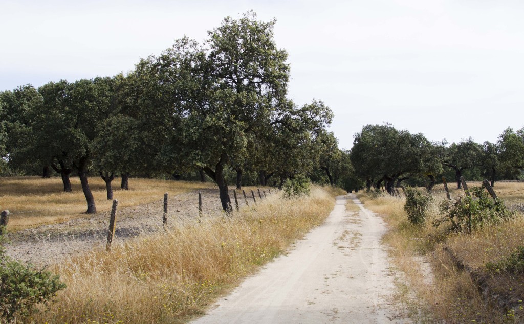 Parque Natural Sierra de Cardeña y Montoro, Córdoba