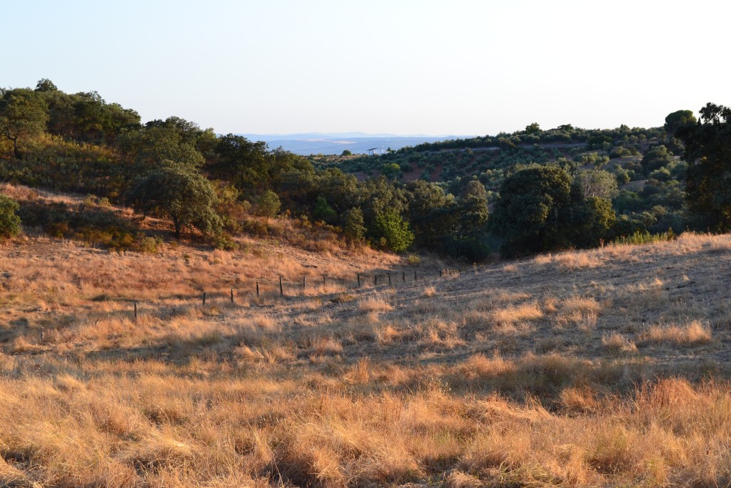 Parque Natural Sierra de Cardeña y Montoro, Córdoba