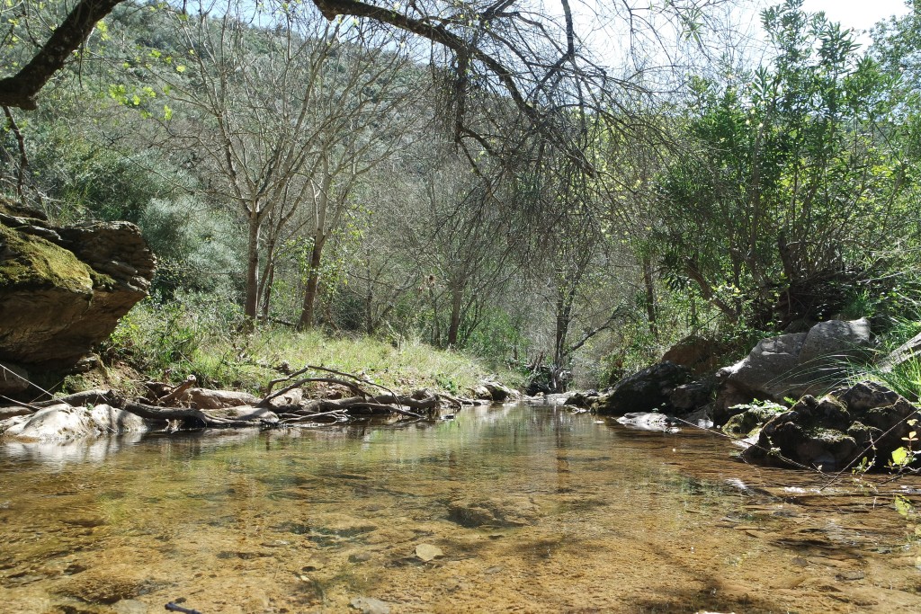 Parque Natural Sierra de Hornachuelos, Córdoba