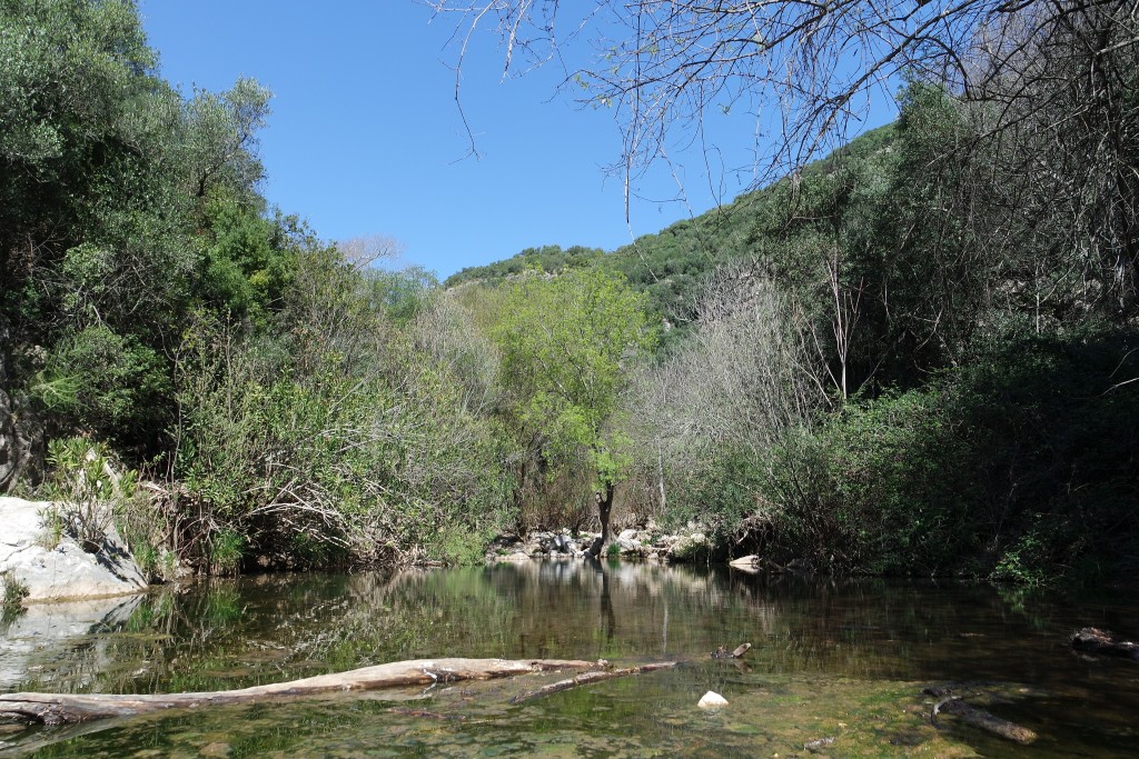Parque Natural Sierra de Hornachuelos, Córdoba