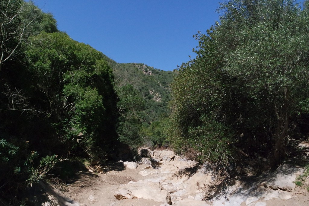 Parque Natural Sierra de Hornachuelos, Córdoba
