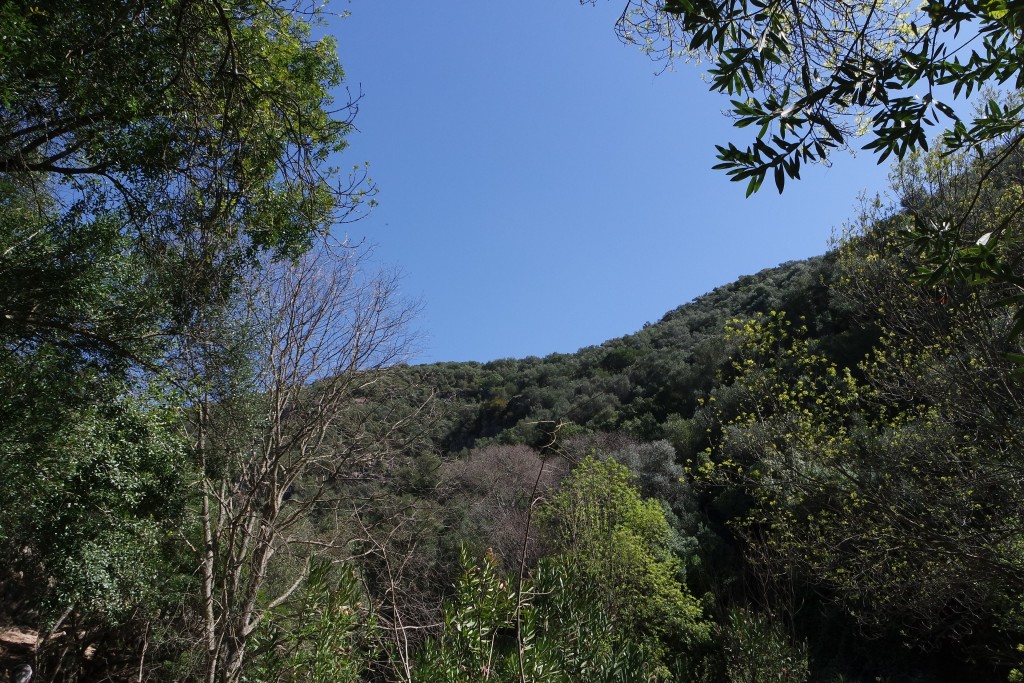 Parque Natural Sierra de Hornachuelos, Córdoba