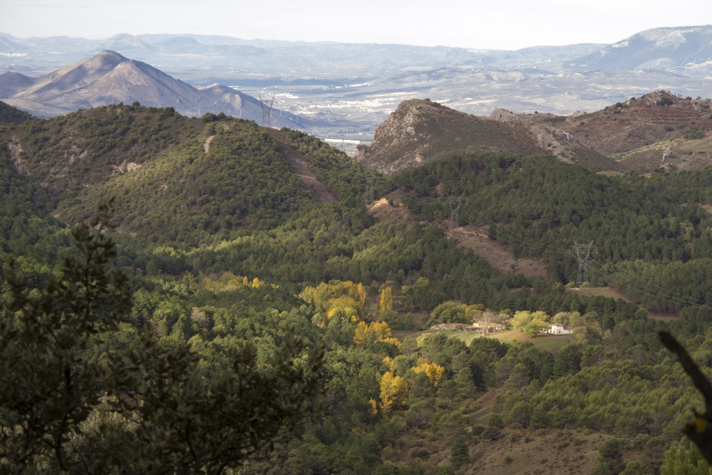 Parque Natural Sierra de Huétor, Granada