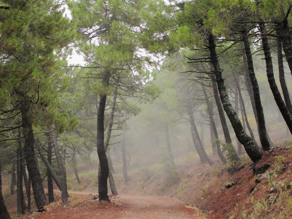 Parque Natural Sierra de Huétor, Granada