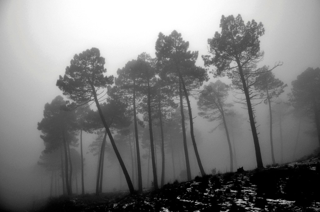 Parque Natural Sierra de Huétor, Granada