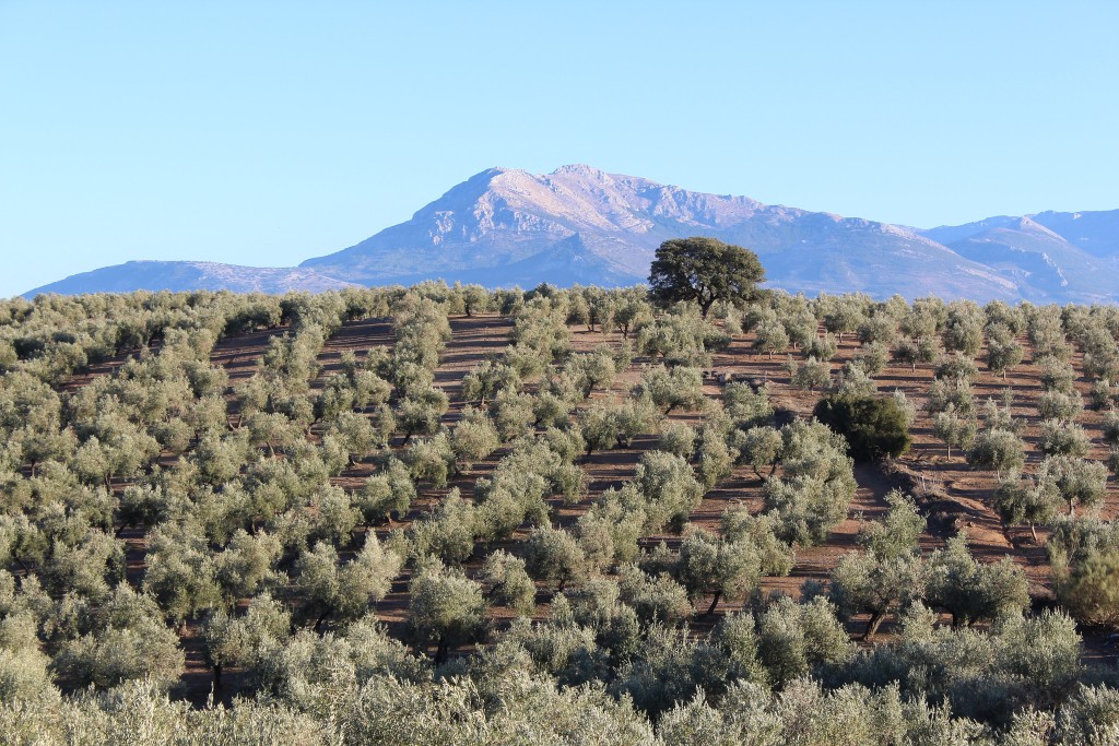 Parque Natural Sierra Mágina, Jaén
