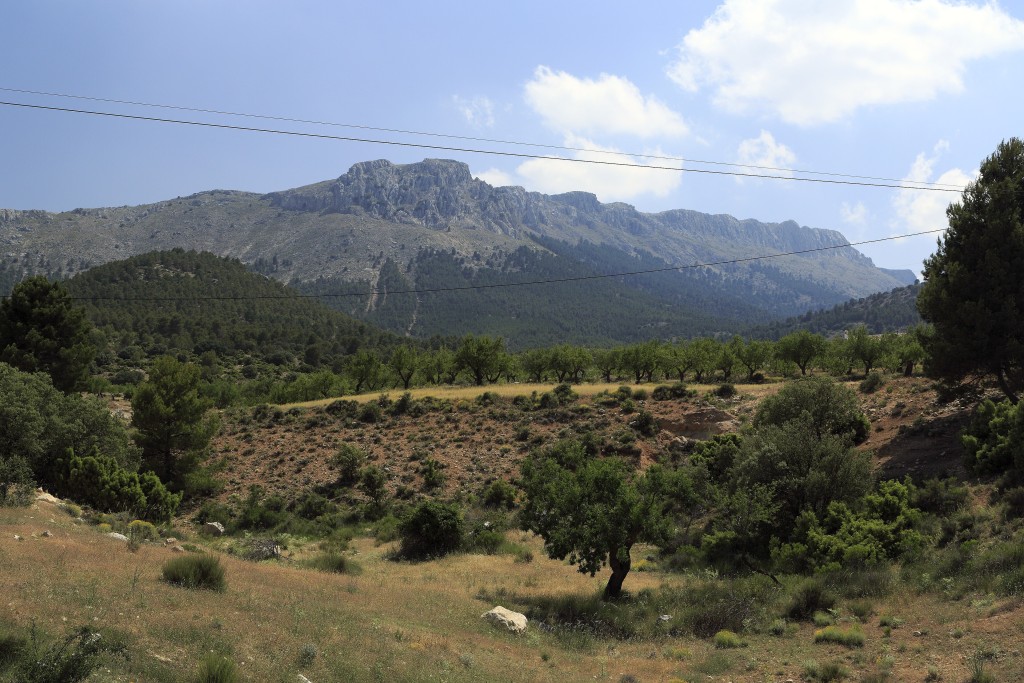 Parque Natural Sierra María-Los Vélez, Almería