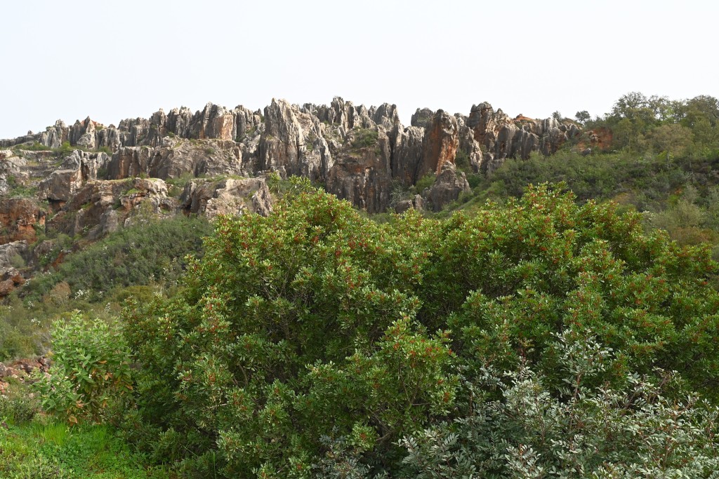 Parque Natural Sierra Morena de Sevilla, Sevilla