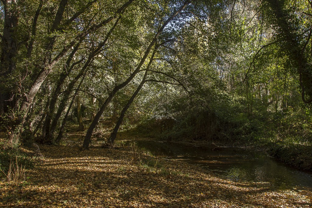 Parque Natural Sierra Morena de Sevilla, Sevilla