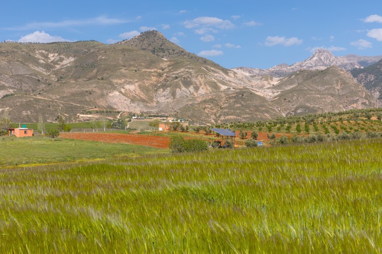 Parque Natural Sierra Nevada, Granada y Almería