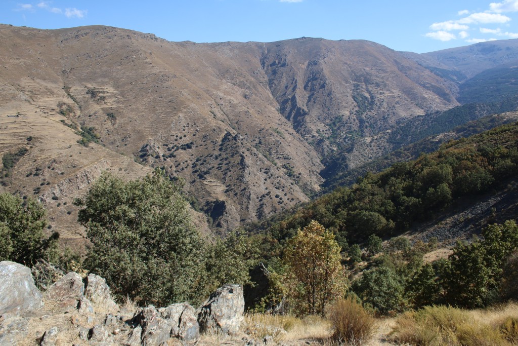 Parque Natural Sierra Nevada, Granada y Almería