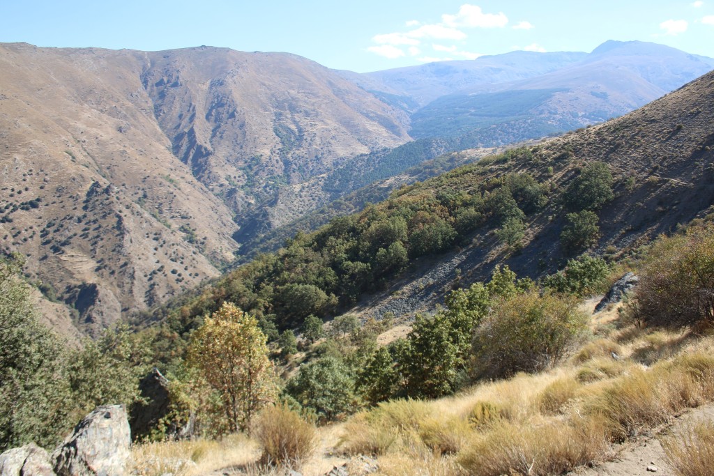 Parque Natural Sierra Nevada, Granada y Almería