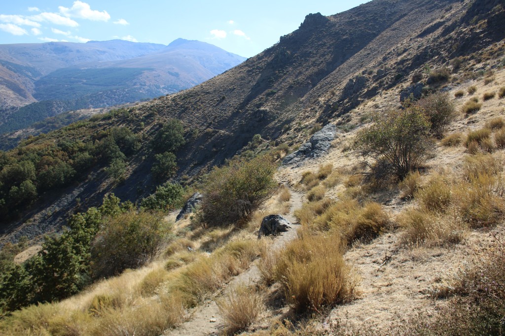 Parque Natural Sierra Nevada, Granada y Almería