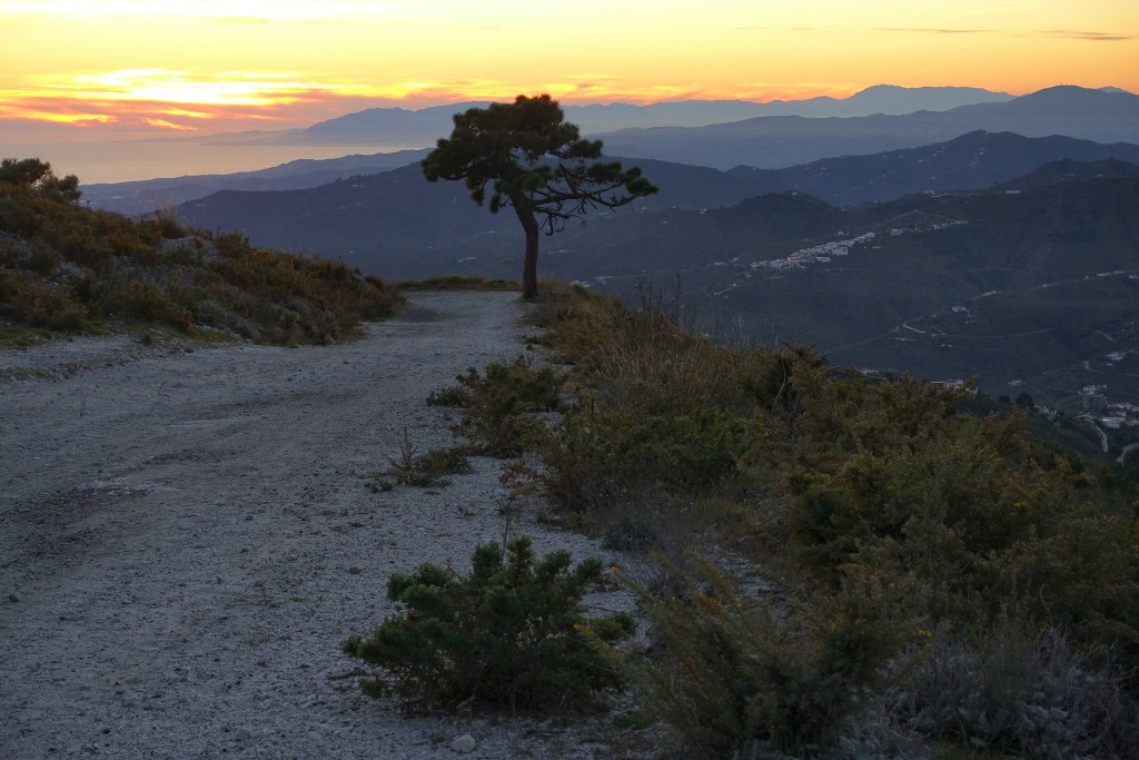 Parque Natural Sierras de Tejeda, Almijara y Alhama, Málaga y Granada