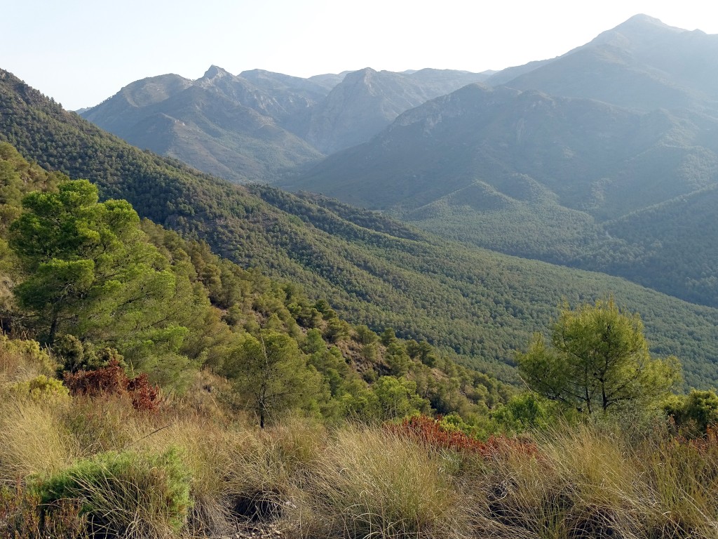 Parque Natural Sierras de Tejeda, Almijara y Alhama, Málaga y Granada