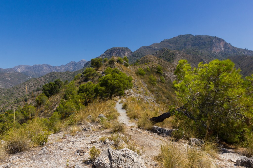 Parque Natural Sierras de Tejeda, Almijara y Alhama, Málaga y Granada