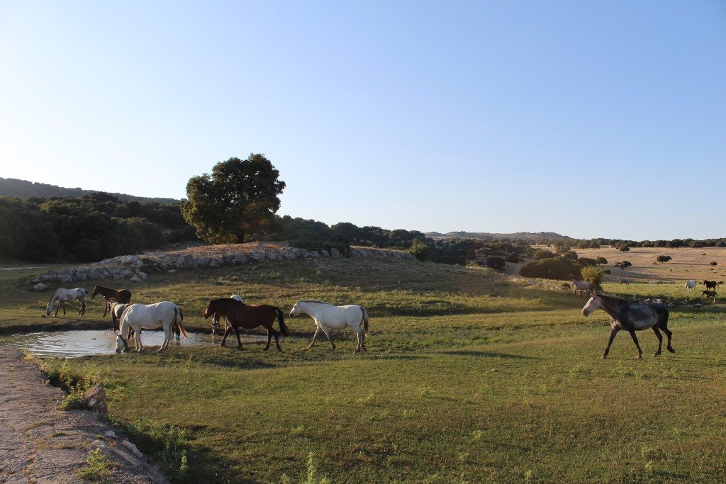 Parque Natural Sierras Subbéticas, Córdoba