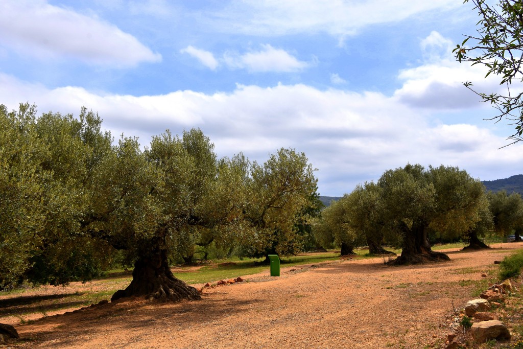 Parque Natural Tinença de Benifassà, Castellón