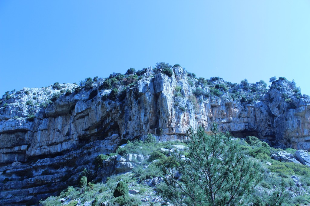 Parque Natural Tinença de Benifassà, Castellón