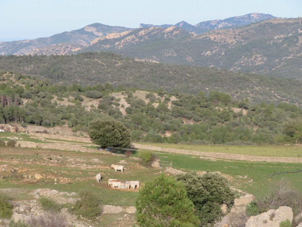 Parque Natural Tinença de Benifassà, Castellón