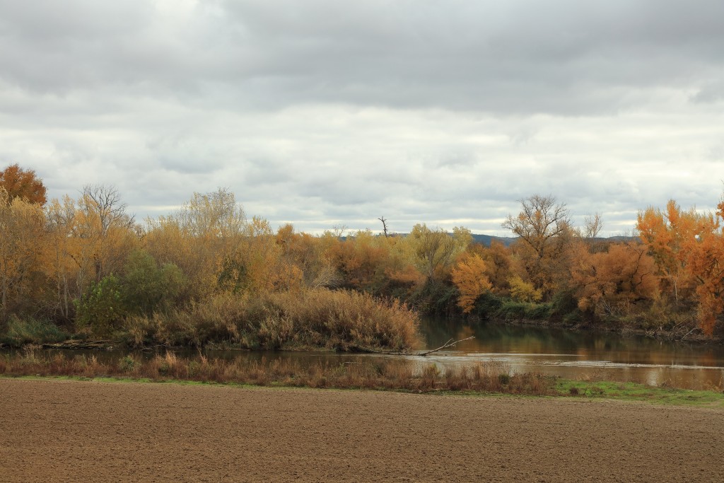 Parque Regional del Sureste, Madrid