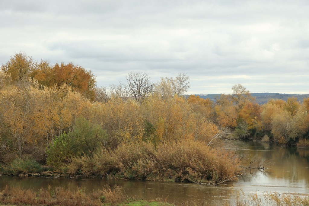 Parque Regional del Sureste, Madrid