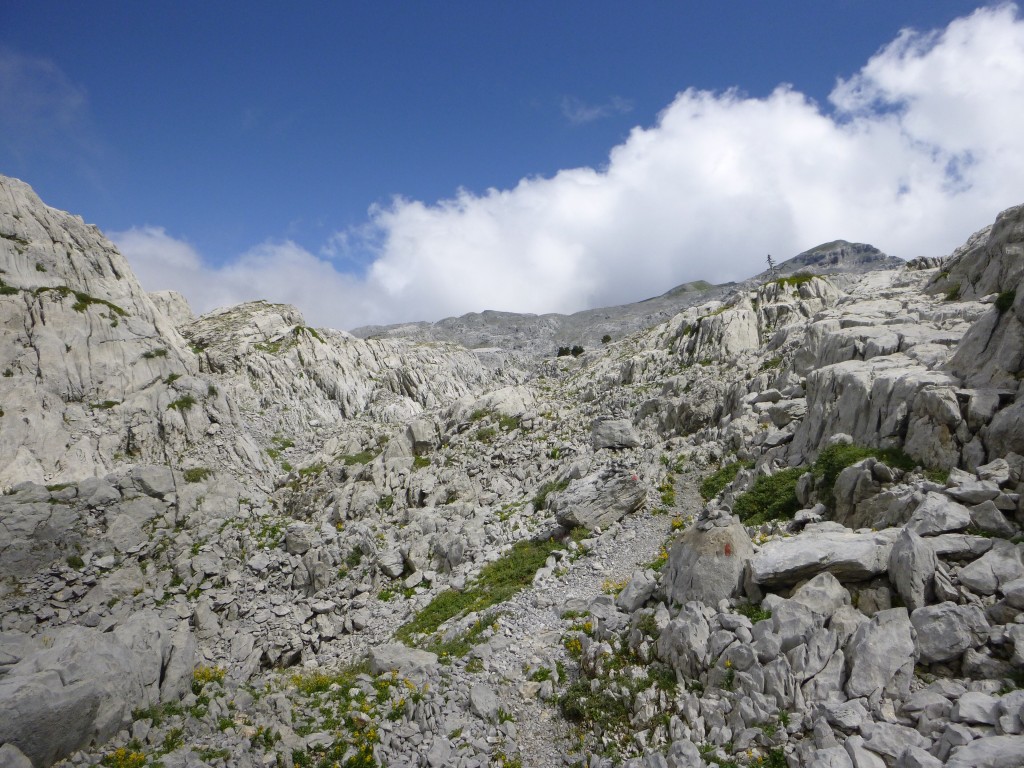Reserva Integral Ukerdi, Isaba (Navarra)
