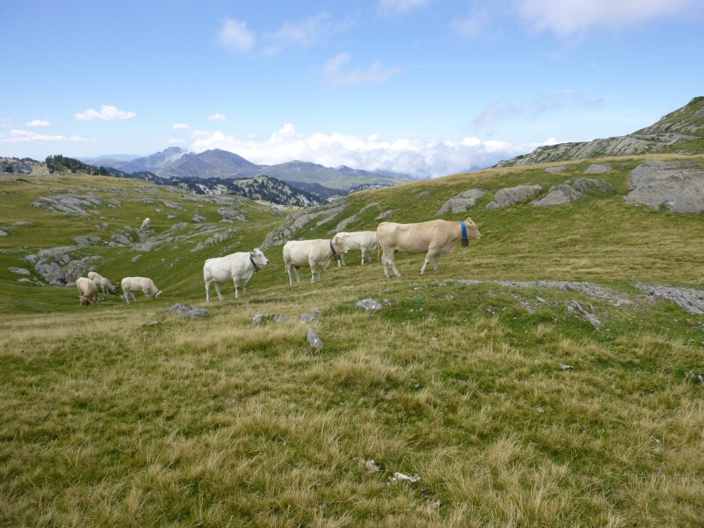Reserva Natural de Larra-Belagua, Valle de Roncal (Navarra)