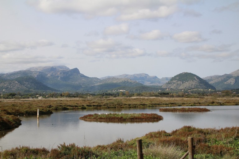Reserva Natural de s’Albufereta, Mallorca