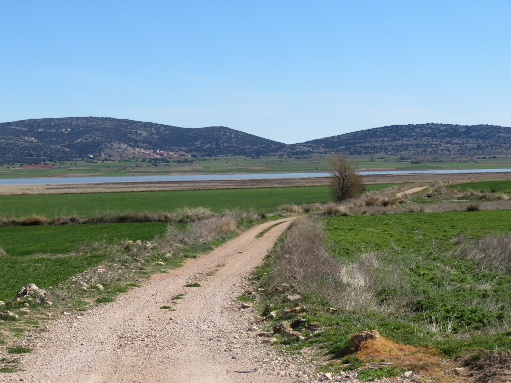 Reserva Natural Dirigida de la Laguna de Gallocanta, Aragón