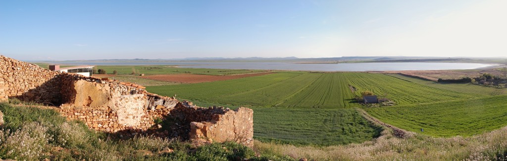 Reserva Natural Dirigida de la Laguna de Gallocanta, Aragón