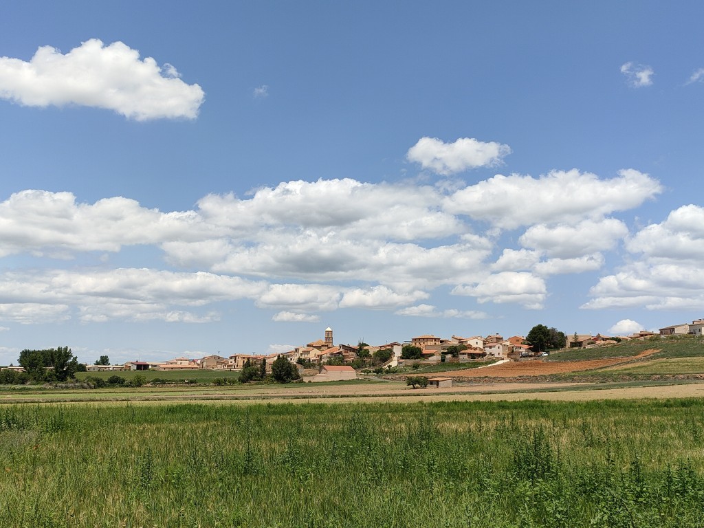 Reserva Natural Dirigida de la Laguna de Gallocanta, Aragón