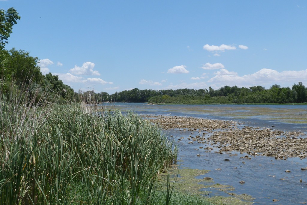 Reserva Natural Dirigida de los Sotos y Galachos del Ebro, Zaragoza
