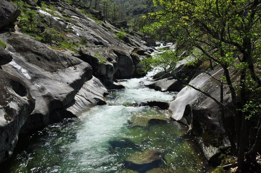 Reserva Natural Garganta de los Infiernos, Valle del Jerte