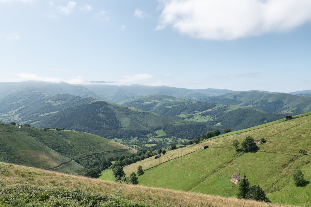 Robledal de Cotornal y Braña del Pombo, Valles Pasiegos, Cantabria