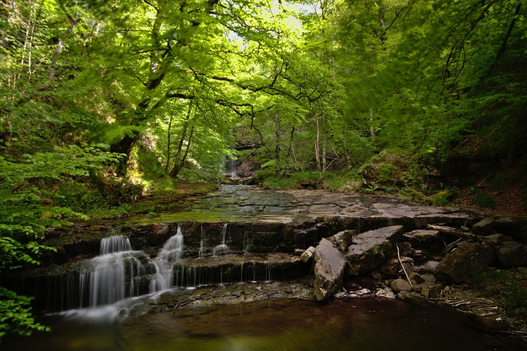 Ruta Brañazarza, Parque Natural Saja-Besaya, Cantabria