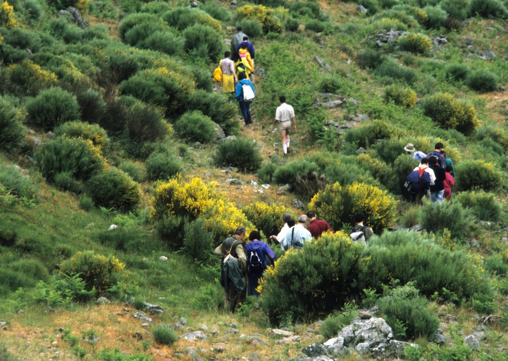 Ruta de Carlos V, Tornavacas a Jarandilla de la Vera (Cáceres)