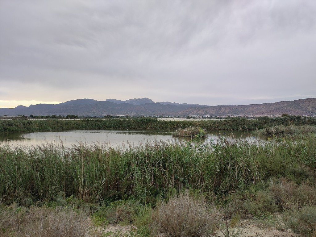 Saladares del Guadalentín, Alhama de Murcia y Totana