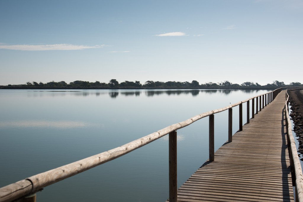 Salinas y Arenales de San Pedro del Pinatar, Murcia