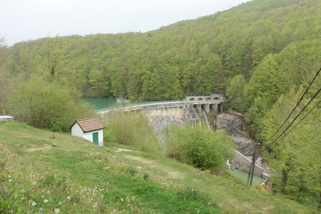 Selva de Irati, Navarra