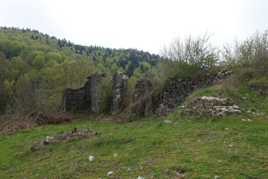 Selva de Irati, Navarra