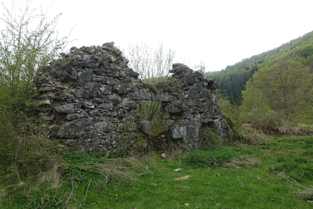 Selva de Irati, Navarra