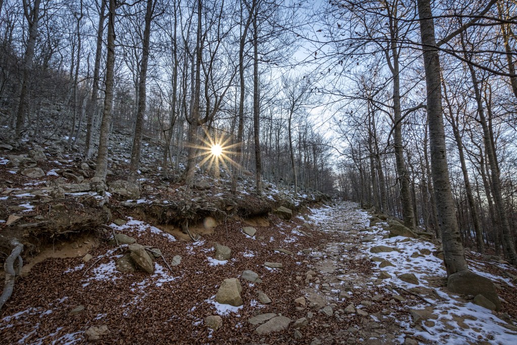 Senderismo en el Montseny, Barcelona: rutas por el Parque Natural y Reserva de la Biosfera