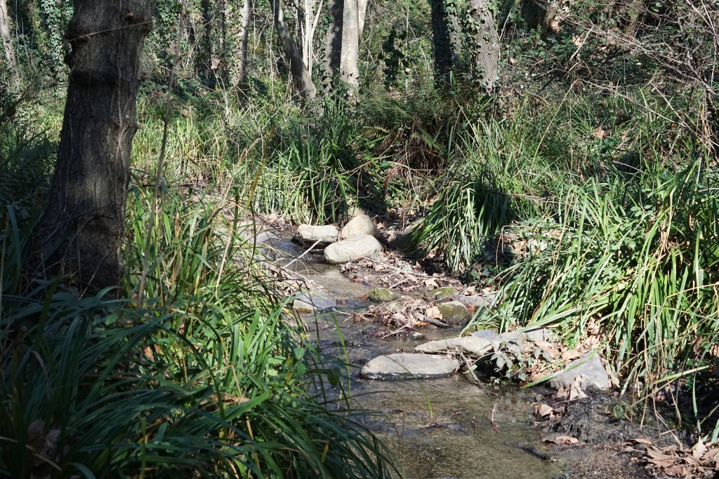 Senderismo en el Montseny, Barcelona: rutas por el Parque Natural y Reserva de la Biosfera