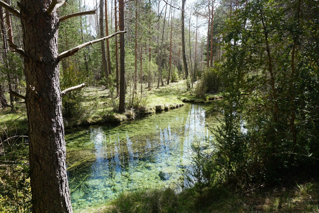 Senderismo en el Nacimiento del Río Cuervo, Cuenca