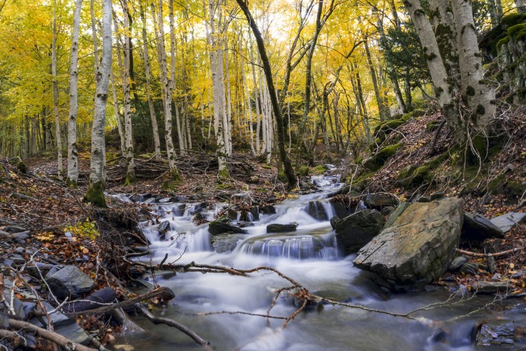 Senderismo en el Parque Natural de la Sierra Norte de Guadalajara