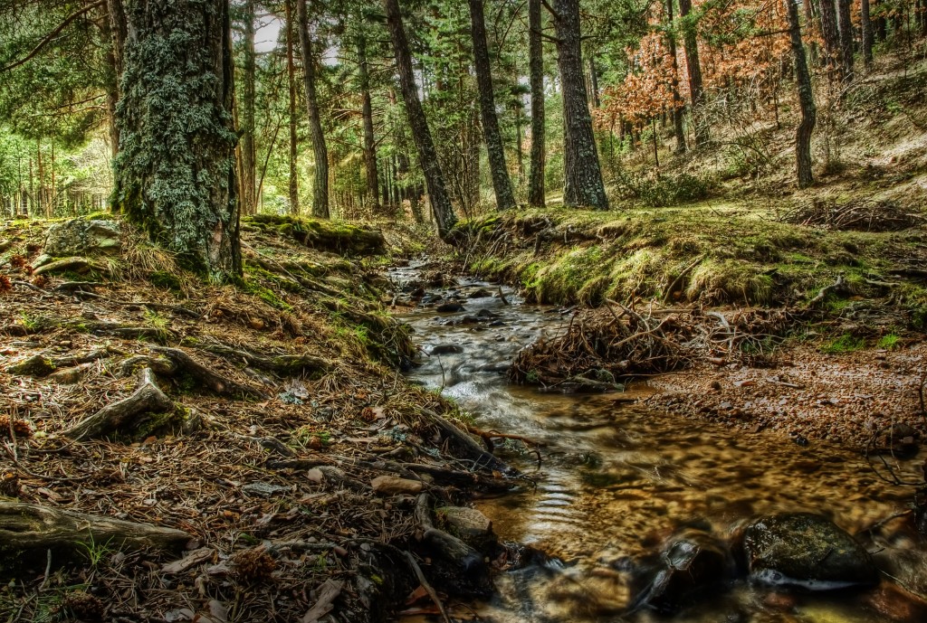 Senderismo en el Parque Natural del Alto Tajo, Guadalajara y Cuenca