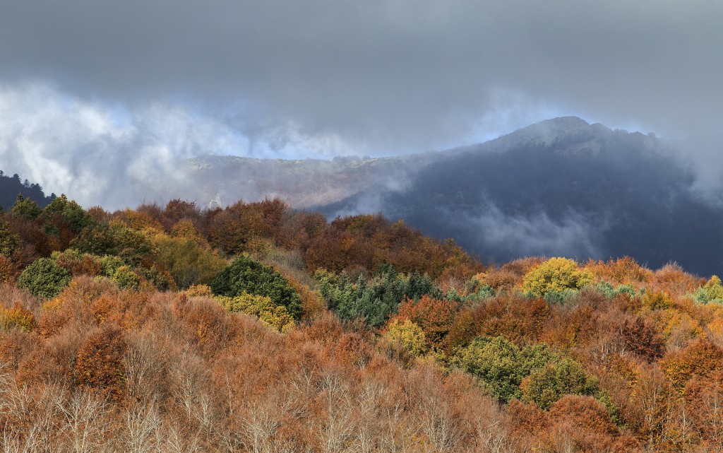 Senderismo en el Parque Natural del Montseny, Vallès Oriental