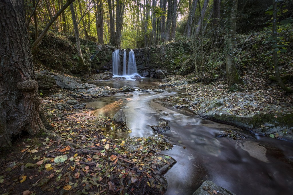 Senderismo en el Parque Natural del Montseny, Vallès Oriental
