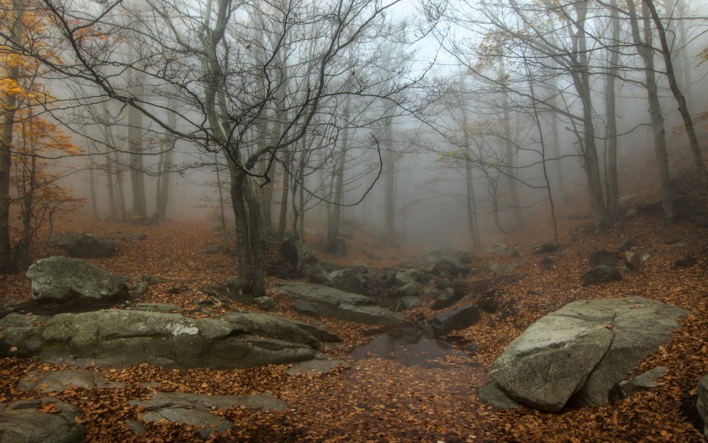 Senderismo en el Parque Natural del Montseny, Vallès Oriental